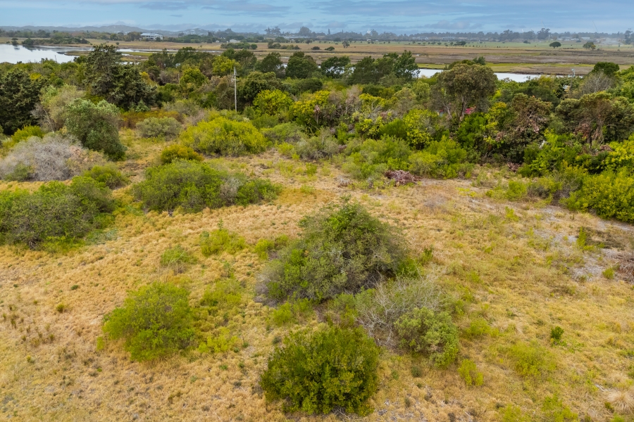 0 Bedroom Property for Sale in Wittedrift AH Western Cape